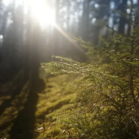 Nocleg ze śniadaniem Utula Nature Retreat *