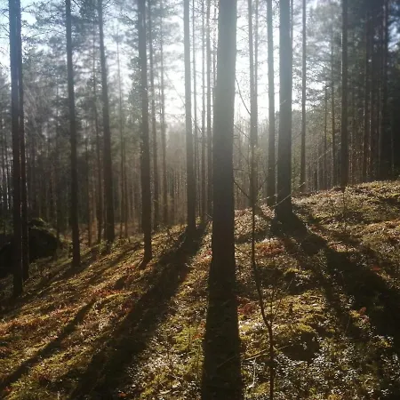 Utula Nature Retreat רוקולהטי