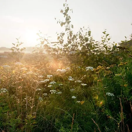 Utula Nature Retreat לינה וארוחת בוקר רוקולהטי